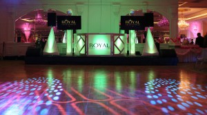 chauvet2